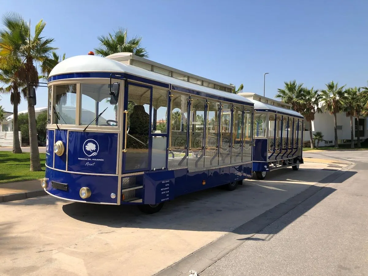 Higueronrentals The Palm Malaga Spain